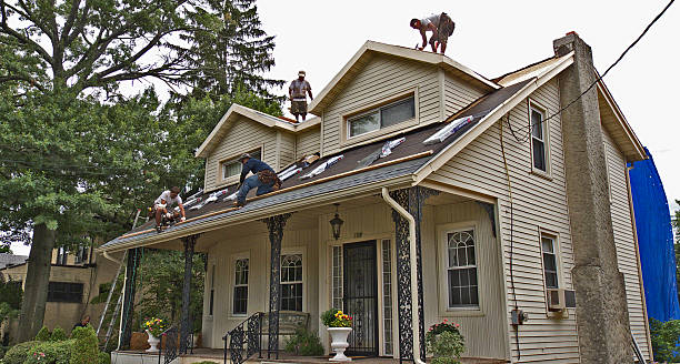 Professional Roofing Contractor in Vidor, TX